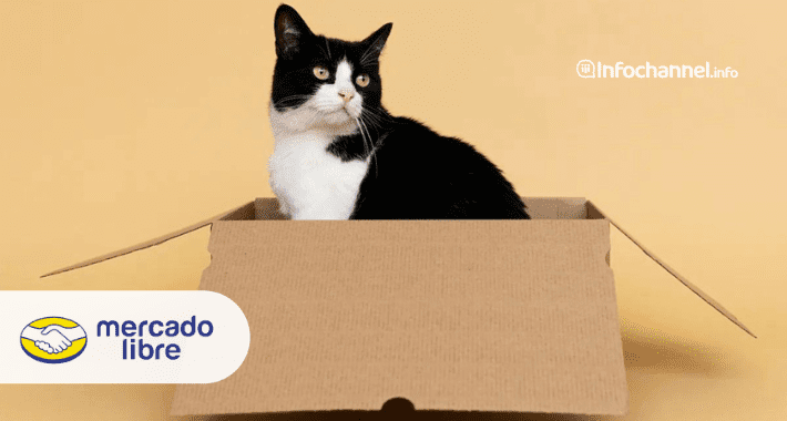 Los gatitos en el e-commerce: ¿Cuánto gastan sus dueños?
