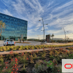 Oracle MDC, México colabora con más patentes de soluciones TI