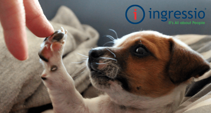 Ingressio firma acuerdo para promover tecnología de reconocimiento biométrico para mascotas