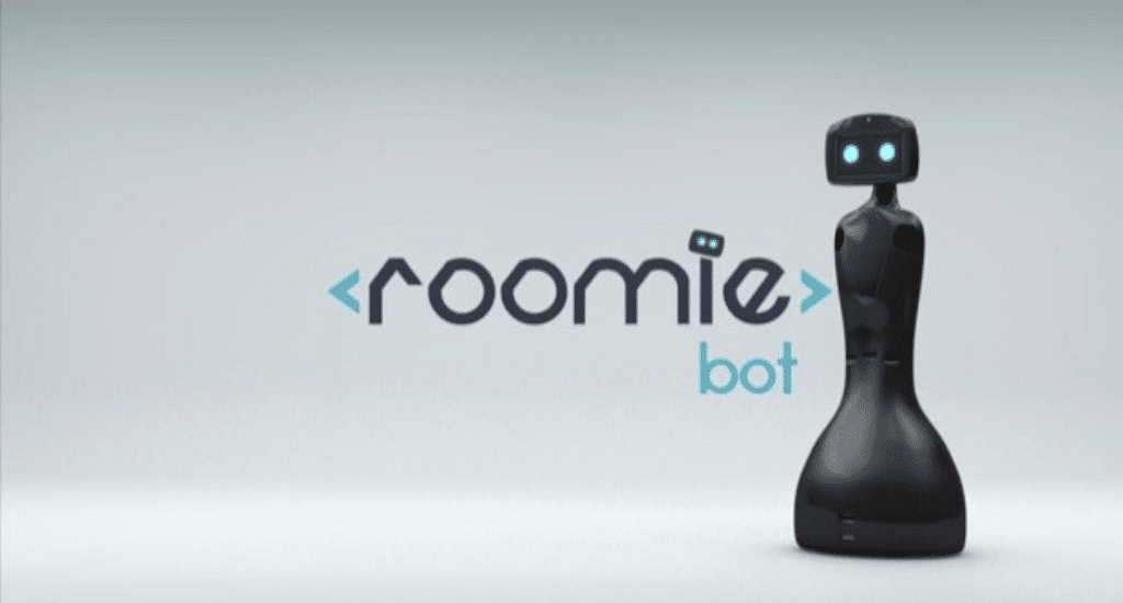 roomie bot