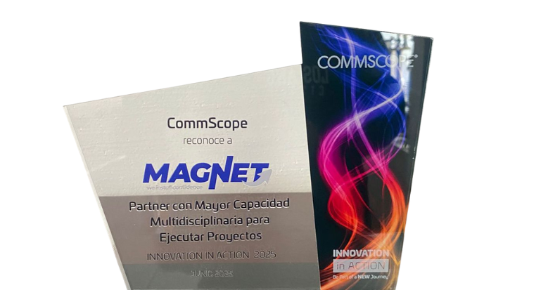 Magnet